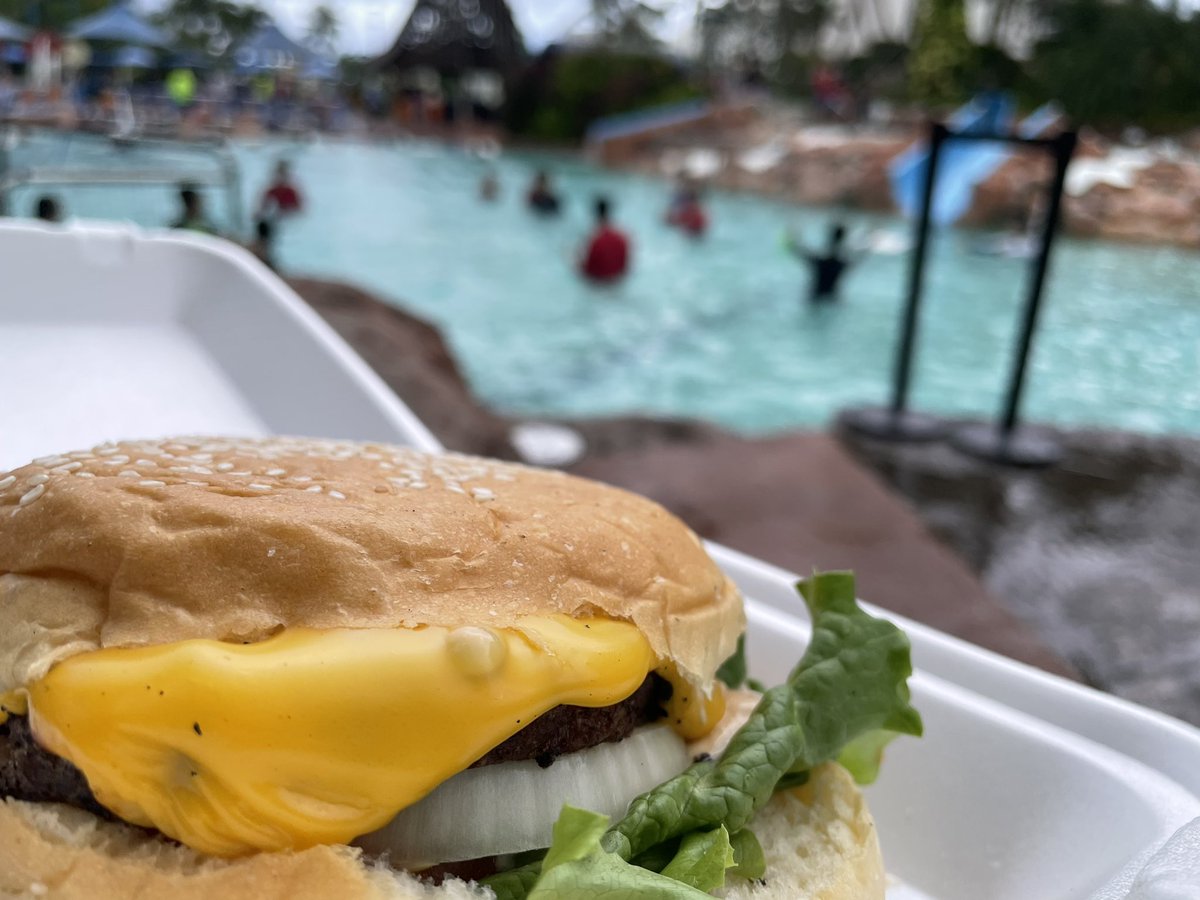 Key(ケイ)@投資大喜利おじさん tweet media