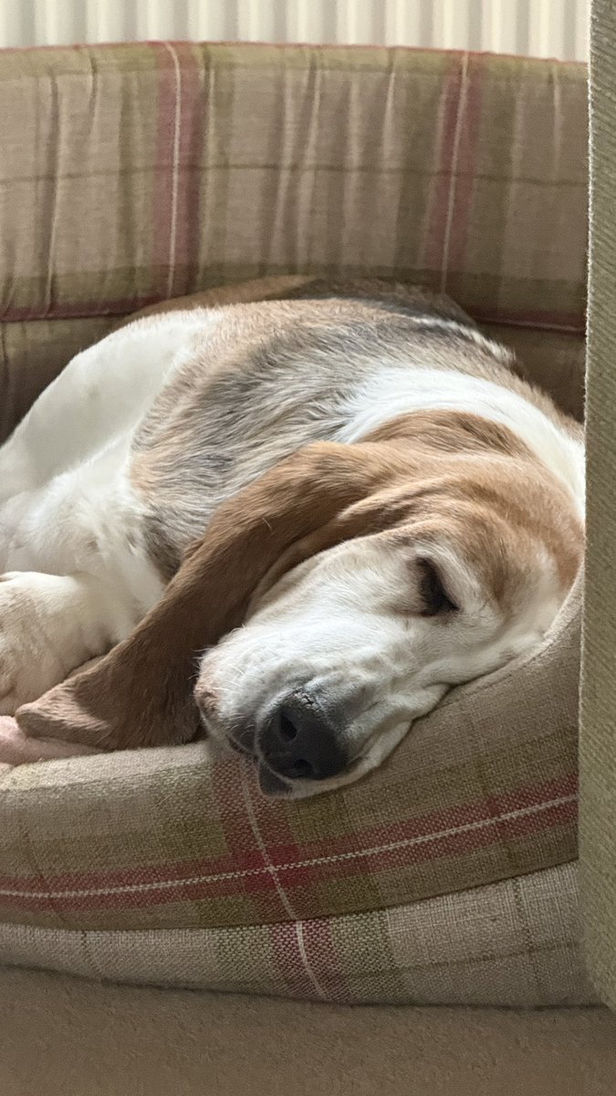 Phil Sledge tweet media