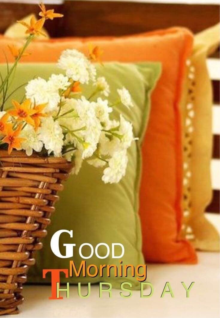 nirvan927682858's tweet photo. https://t.co/G7Qt6Jheaq