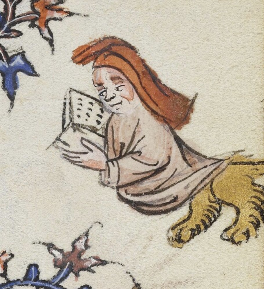 Dr Lacey Bonar Hull tweet media