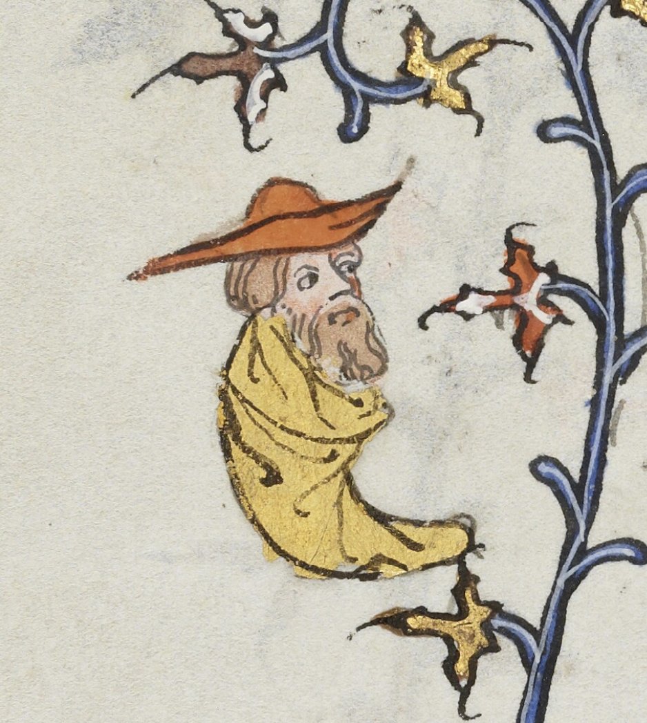 Dr Lacey Bonar Hull tweet media