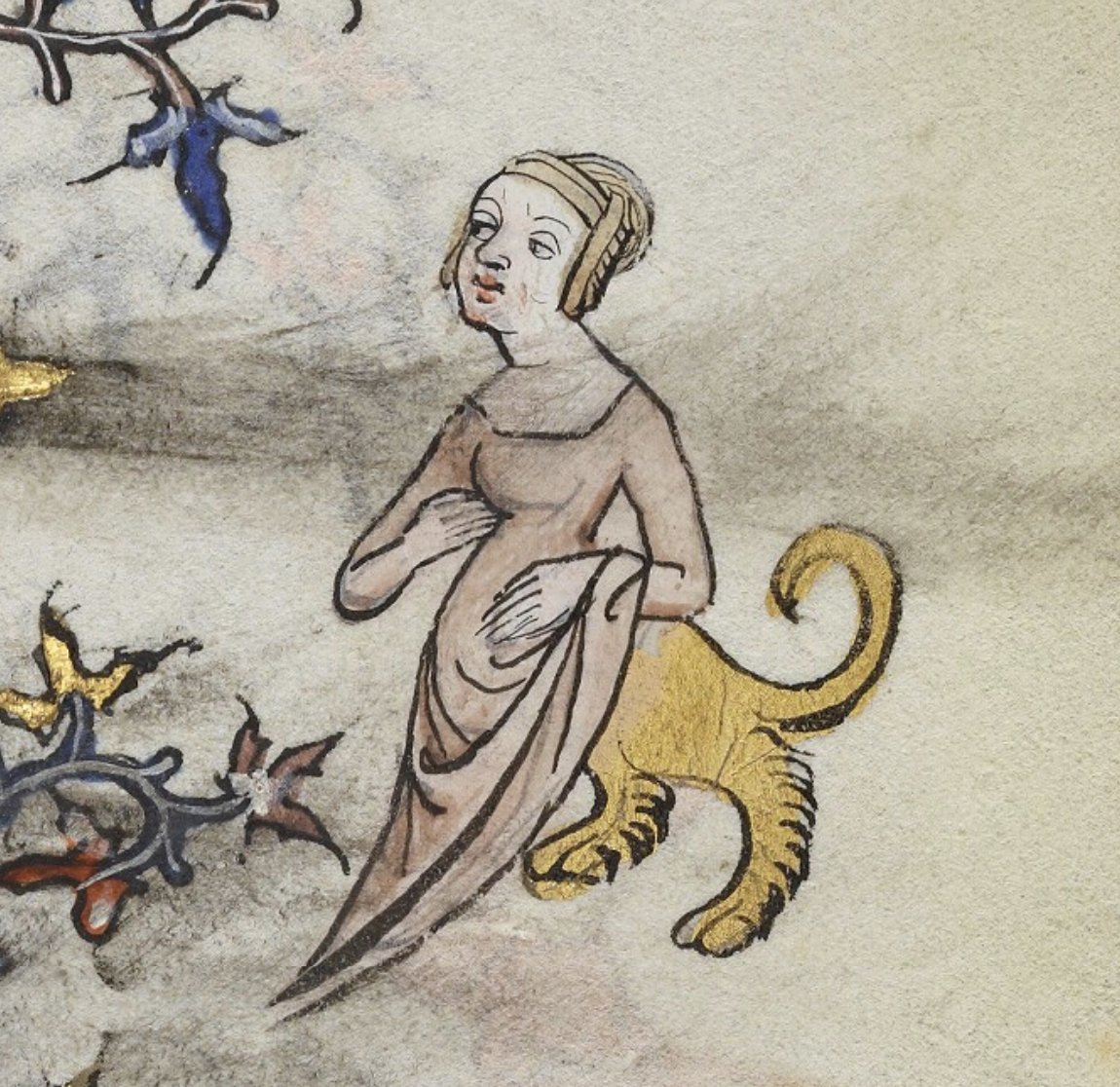 Dr Lacey Bonar Hull tweet media