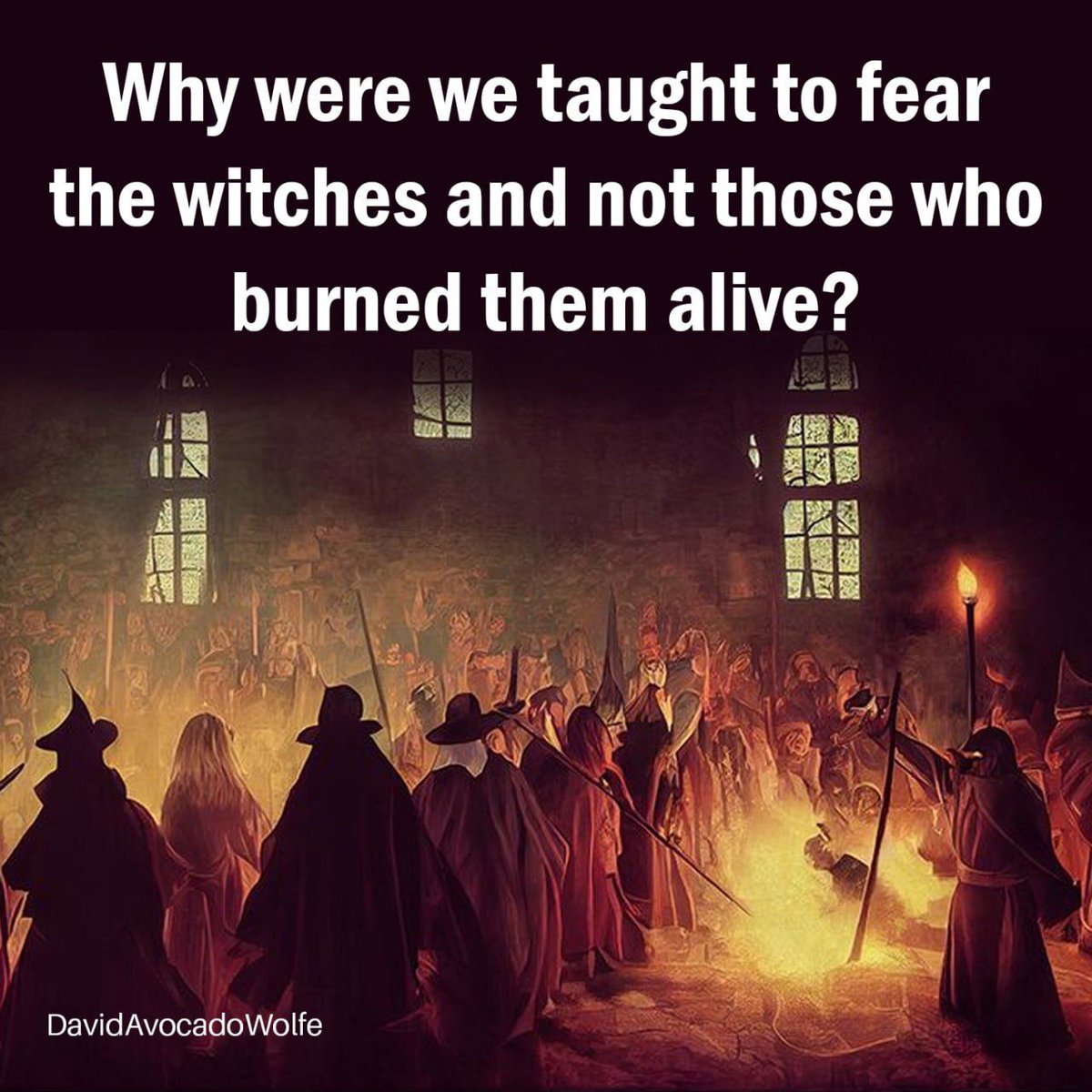 David Wolfe tweet media