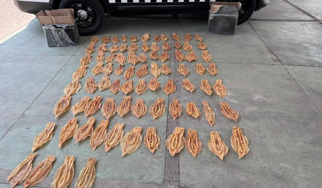 Jei el Hispano ☭🇲🇽🤝🇪🇸🇵🇸🇨🇳🇷🇺 tweet media