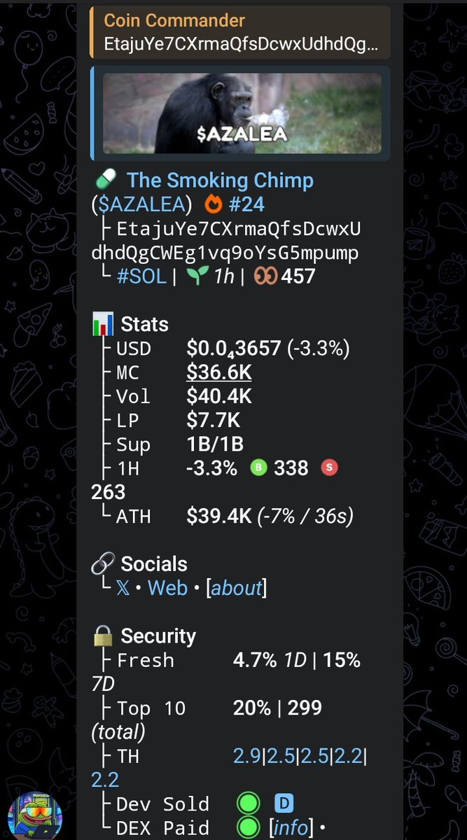 Coin Commander tweet media