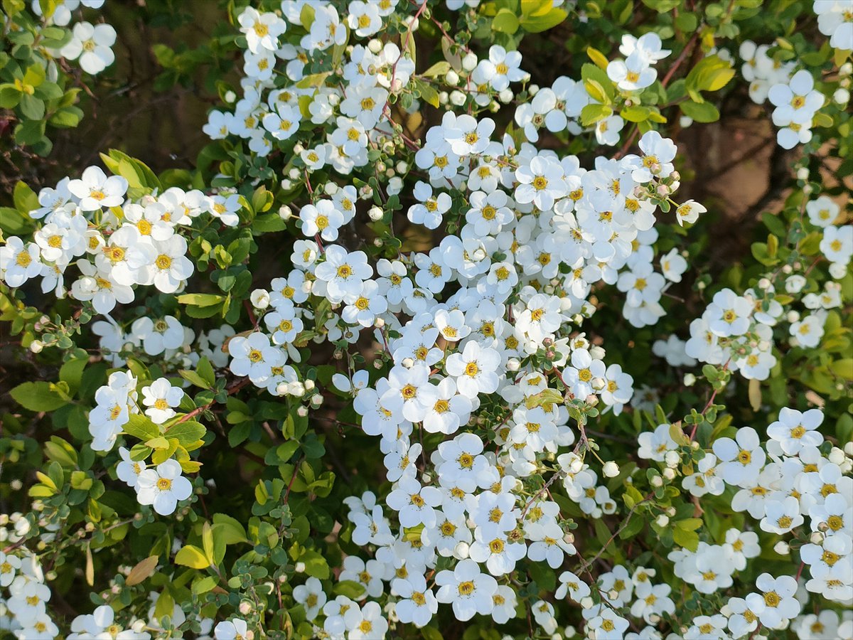 旅先での写真 tweet media