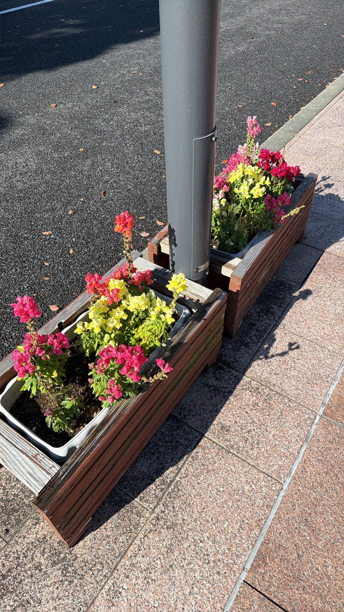 斎藤潤一｜Junichi Saito tweet media