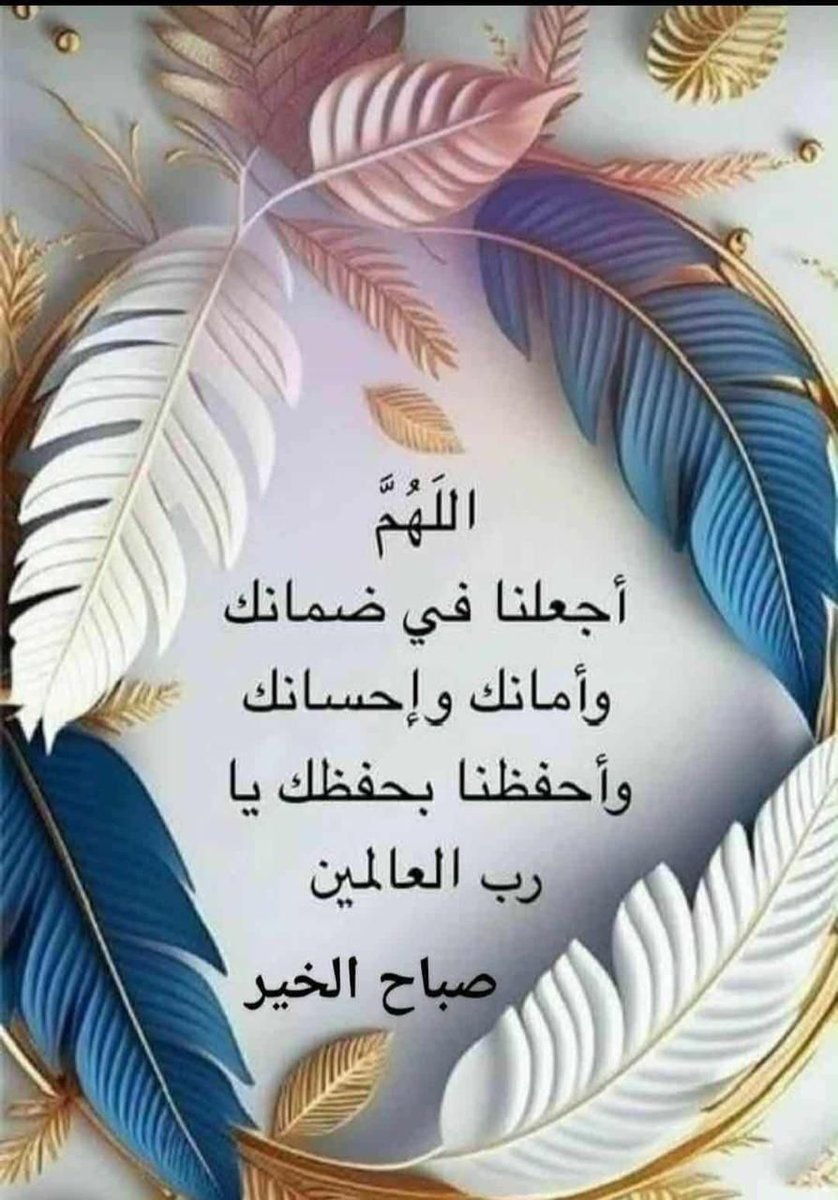 بدر العامري tweet media