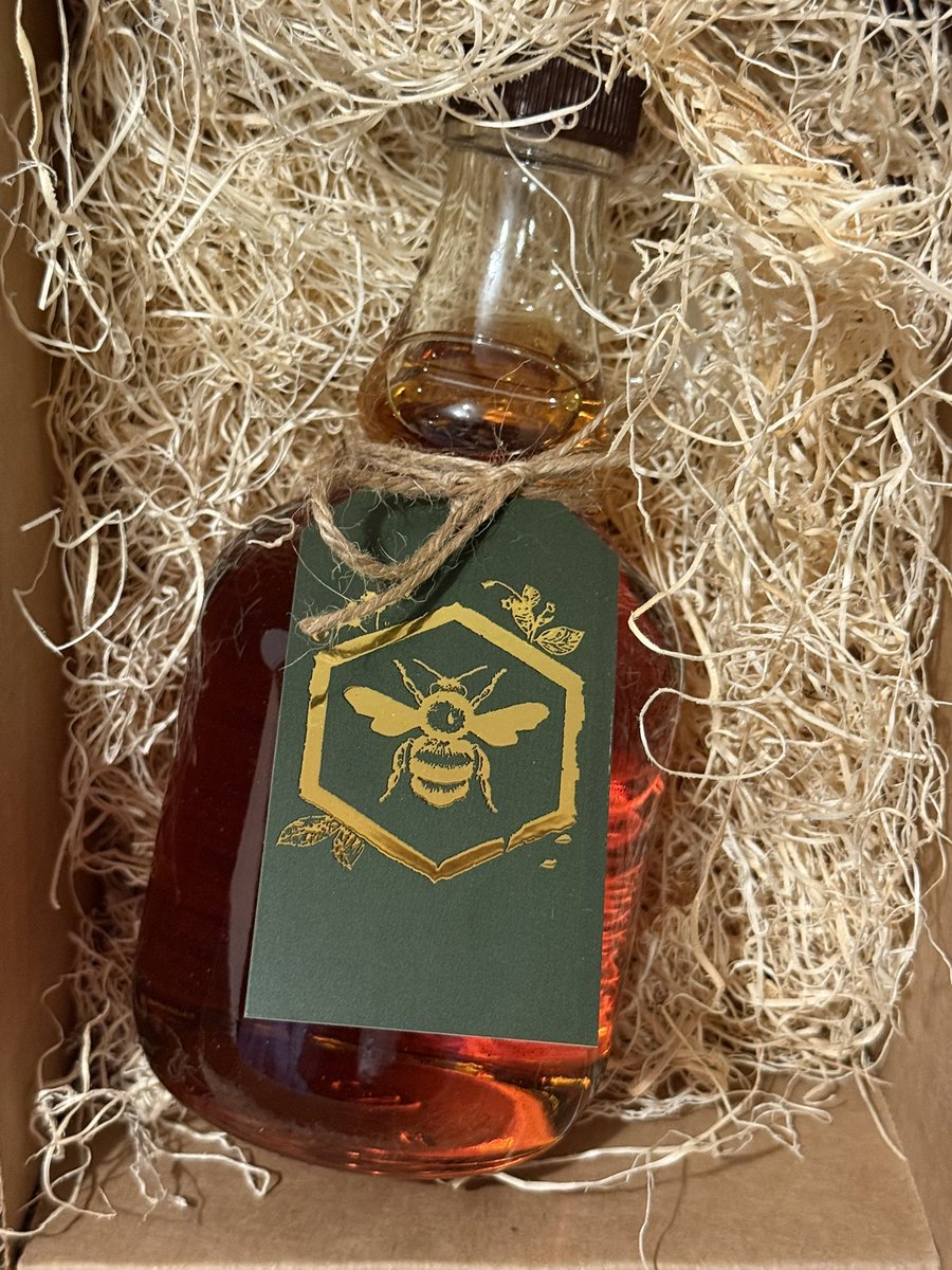 Old Hollow Tree tweet media