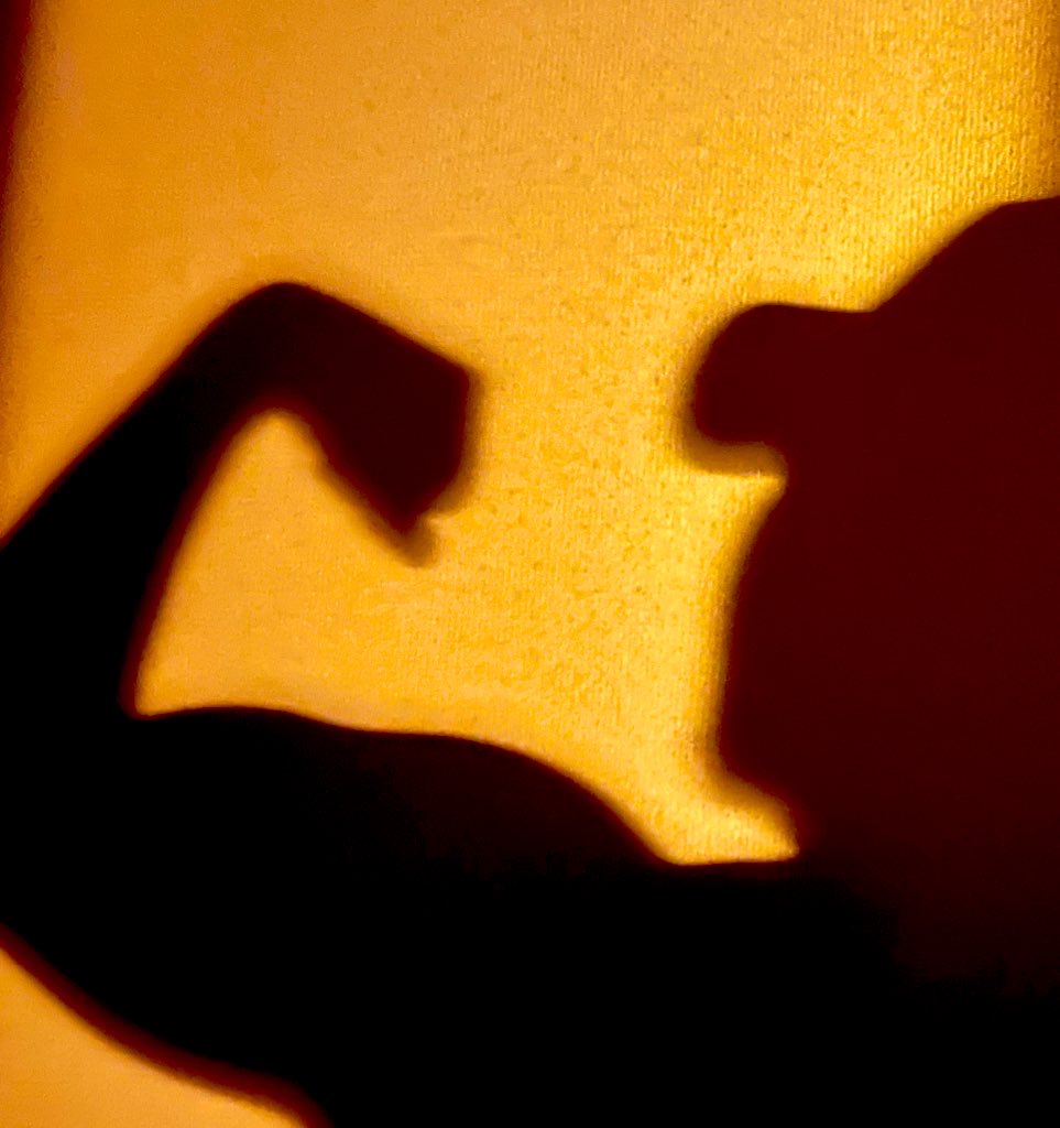 ムキデザ│グラフィックデザイナー tweet media