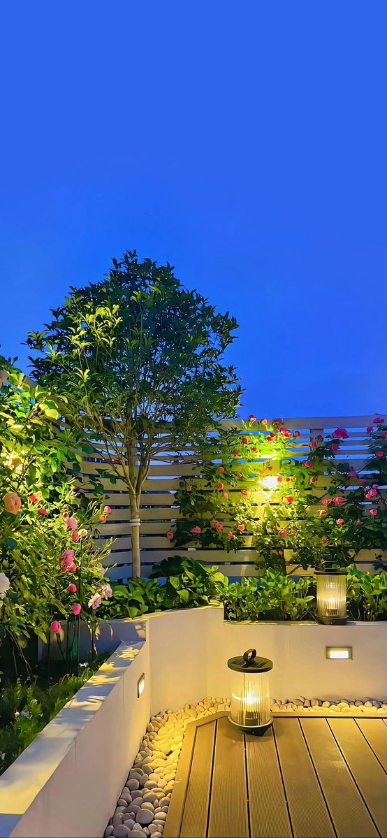 ملاك السعدية | Malak Al-Saadiyah tweet media