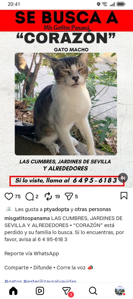 Nacelys González tweet media