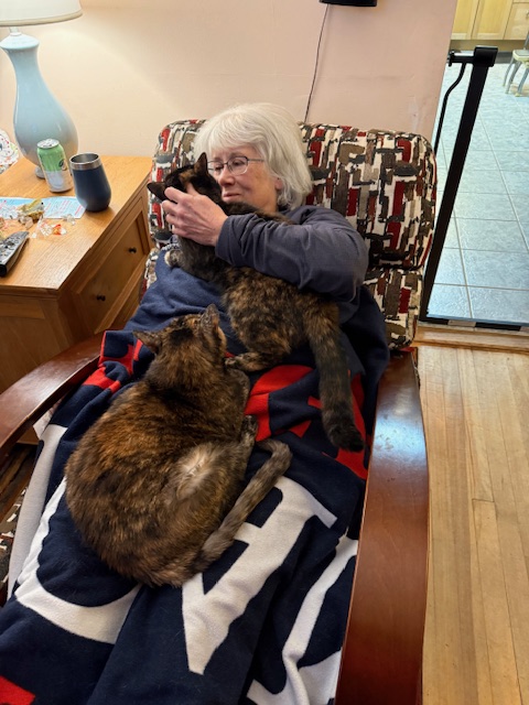 RappCats tweet media