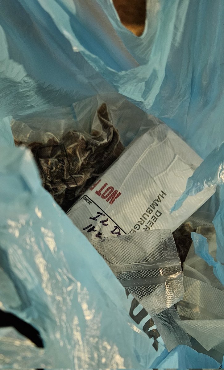 ⏤͟͟͞͞☆𝙍𝙊𝙂𝙐𝙀 tweet media