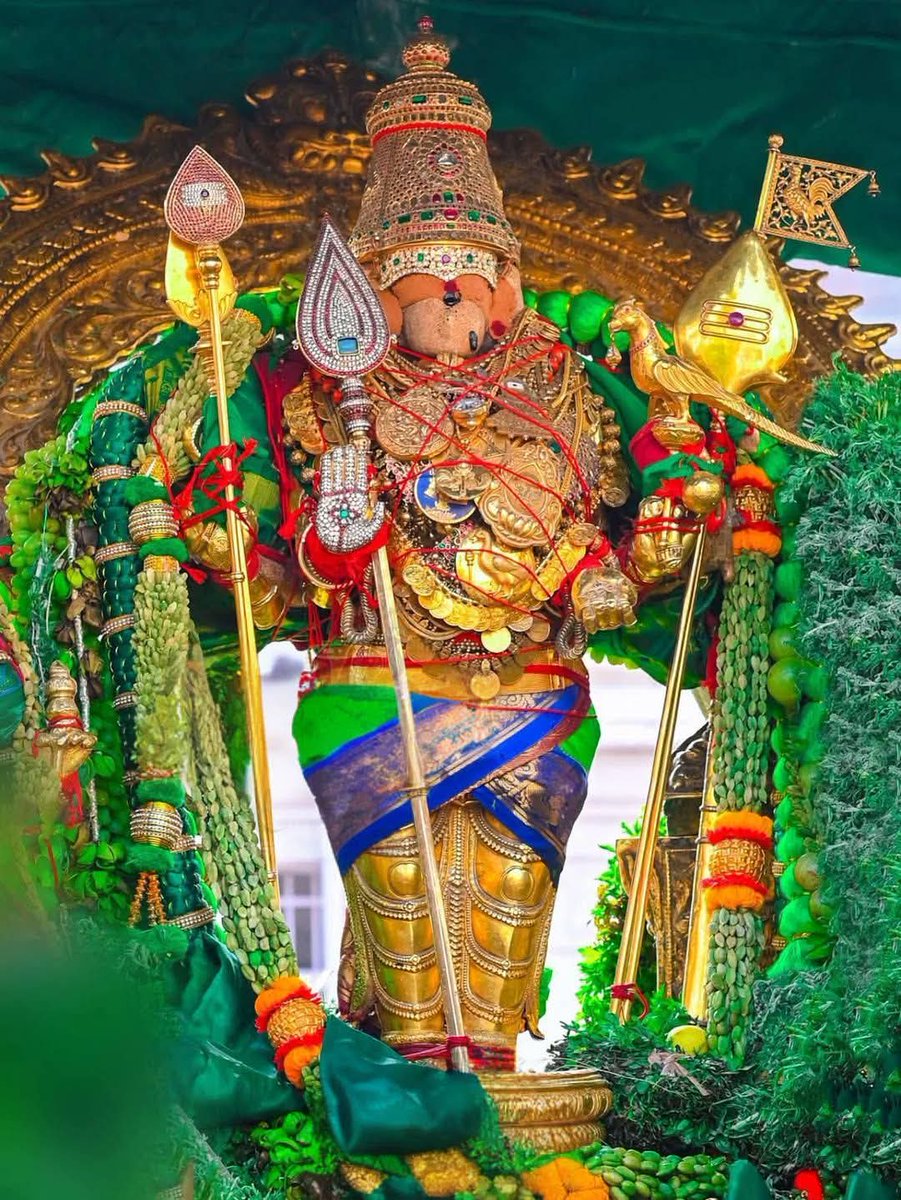 あ꧕വกᨡᩴᨡᩤ🌹 tweet media