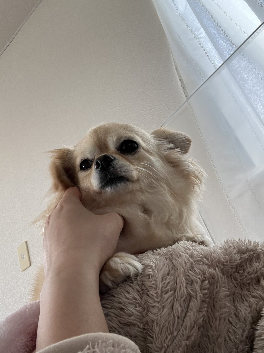 明桜（あお）｜焙煎とデザインで想いをカタチに tweet media