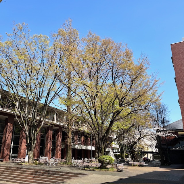 学習院大学 国際文化交流学部 tweet media