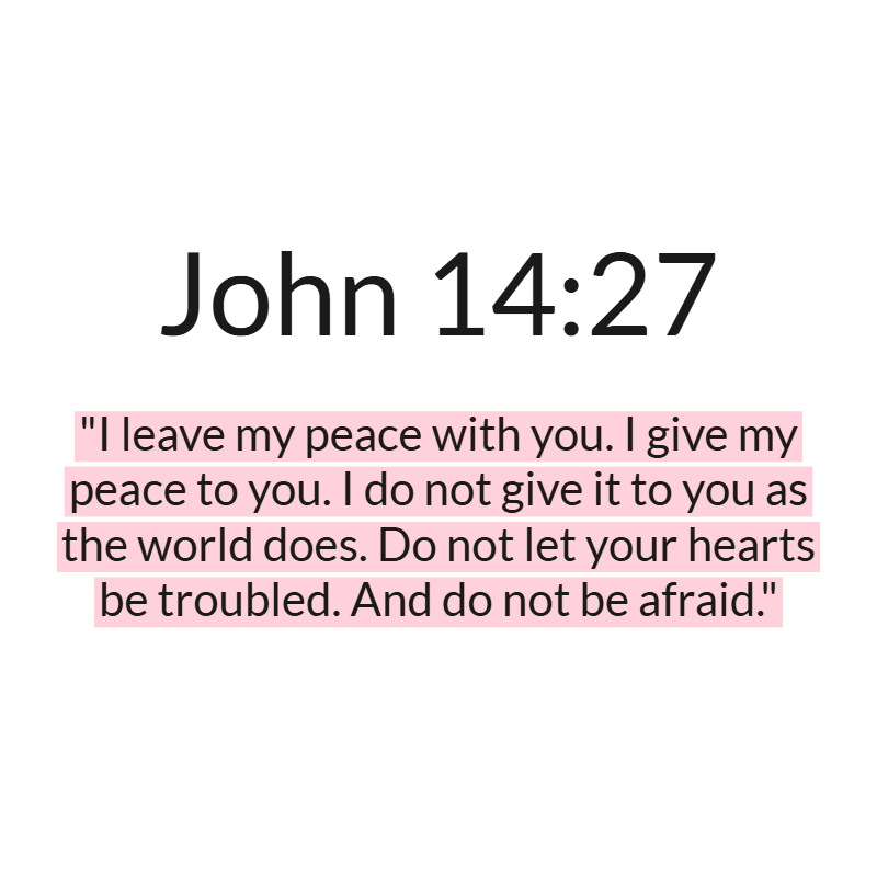 Jesus Insight tweet media