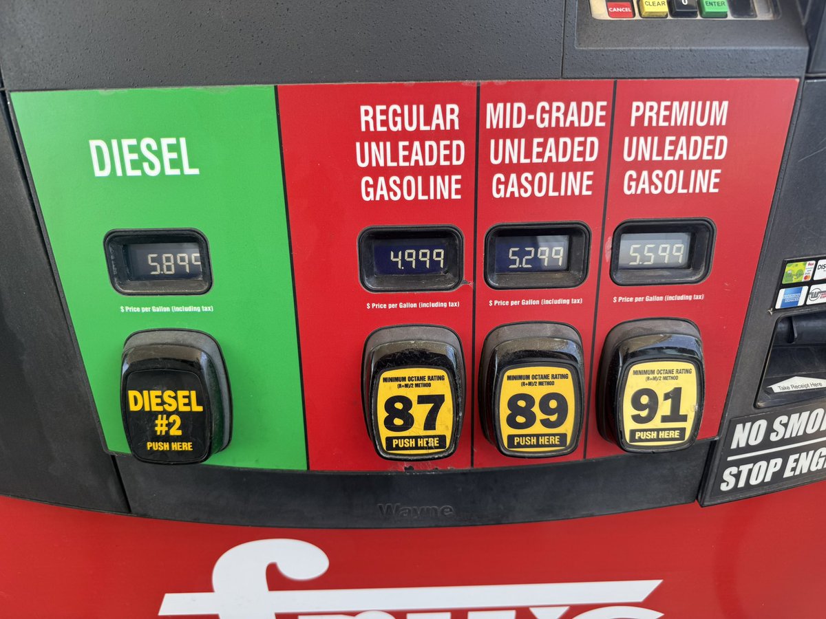 Rebekah Massie tweet media