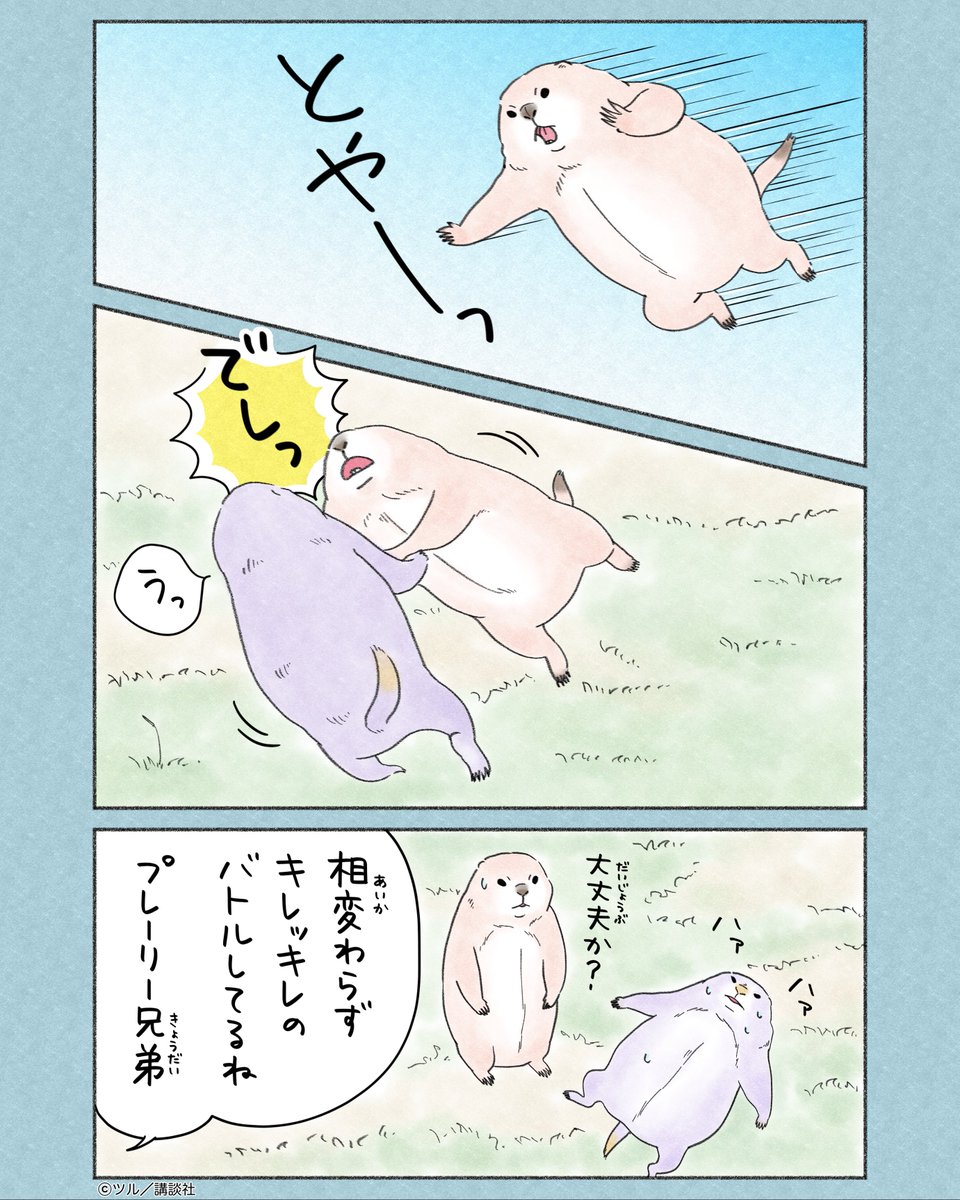 ツイシリ tweet media