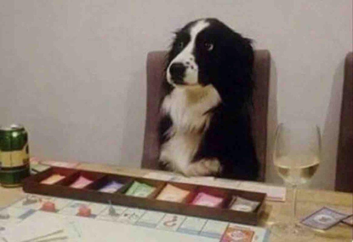 Guarromantico_'s tweet photo. Cuando me explican como jugar y no he entendido nada pero le entro: https://t.co/yROOQ1maCO