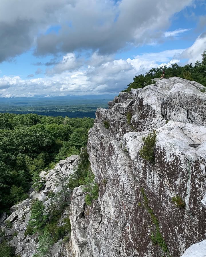 Michelle tweet media