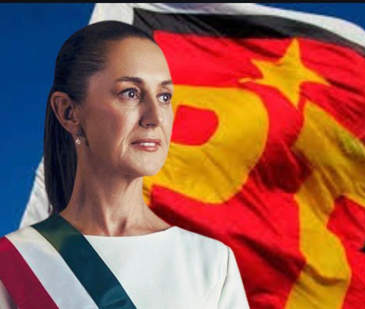 Lilia Aguilar Gil tweet media