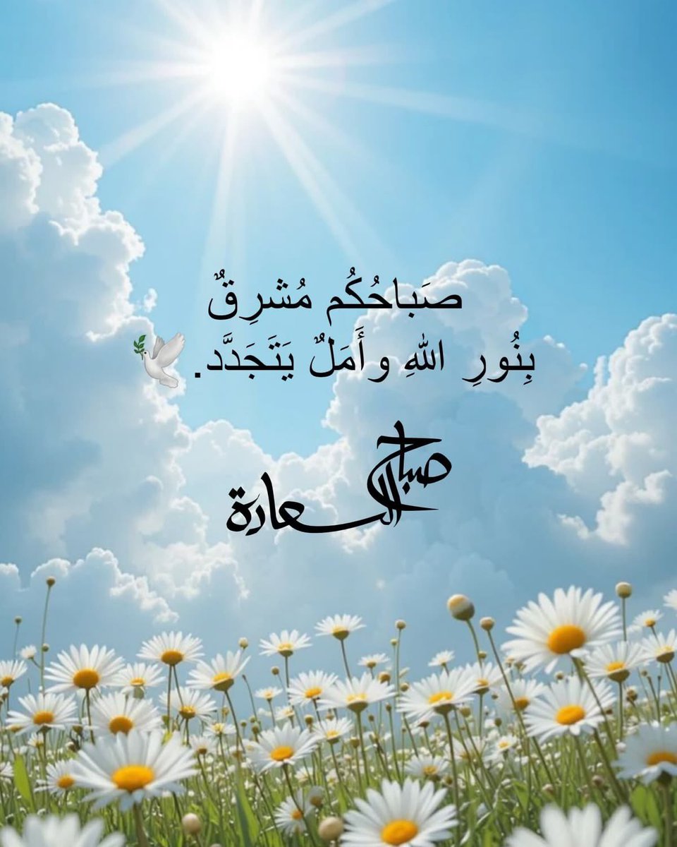 صوفيا tweet media