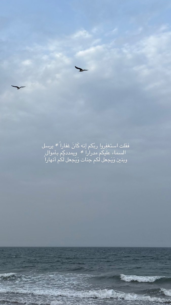 ريم سعيد tweet media