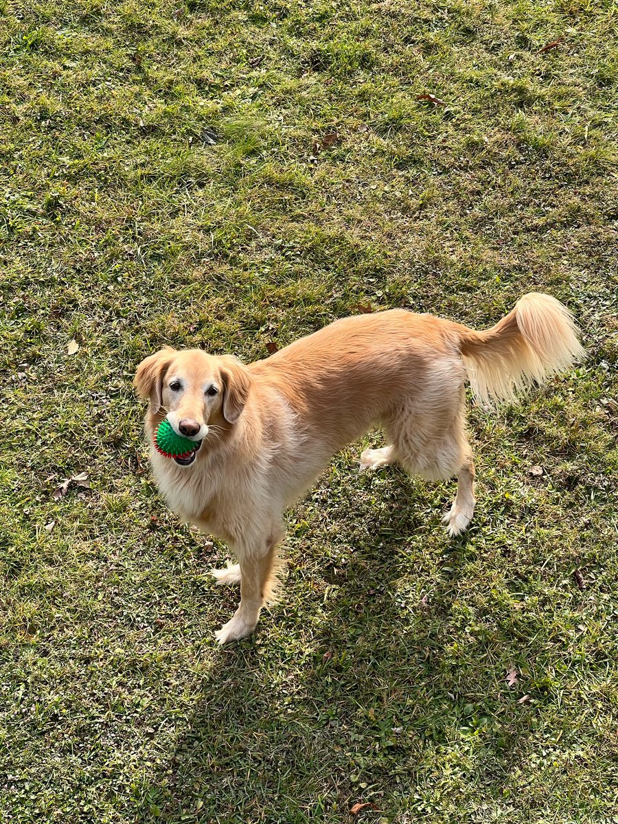 DanielaWX 🌴 tweet media