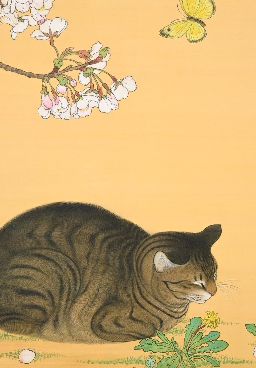 ぼんた(小熊香奈子) tweet media