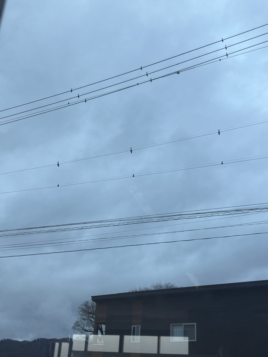 合同会社エースプランニング tweet media