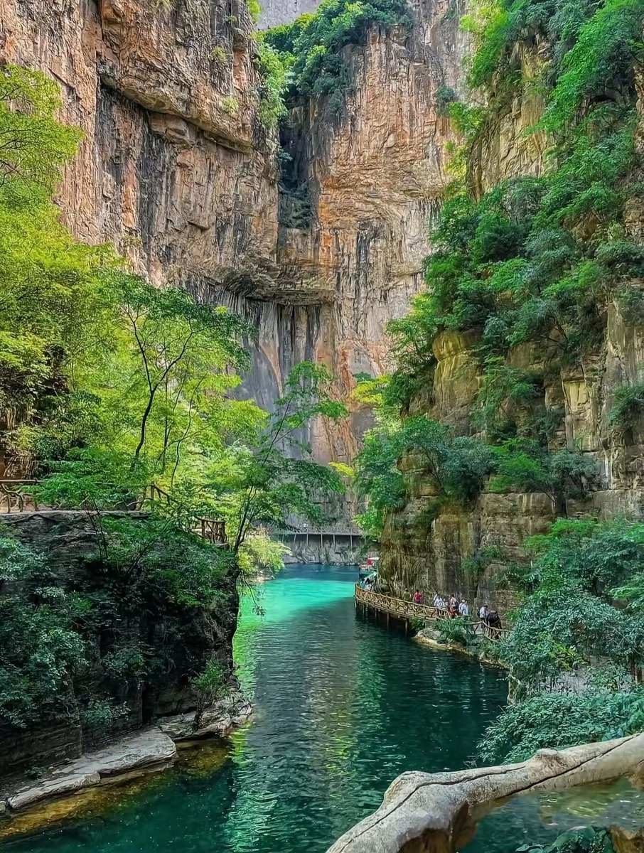 乐晨（互fo） tweet media