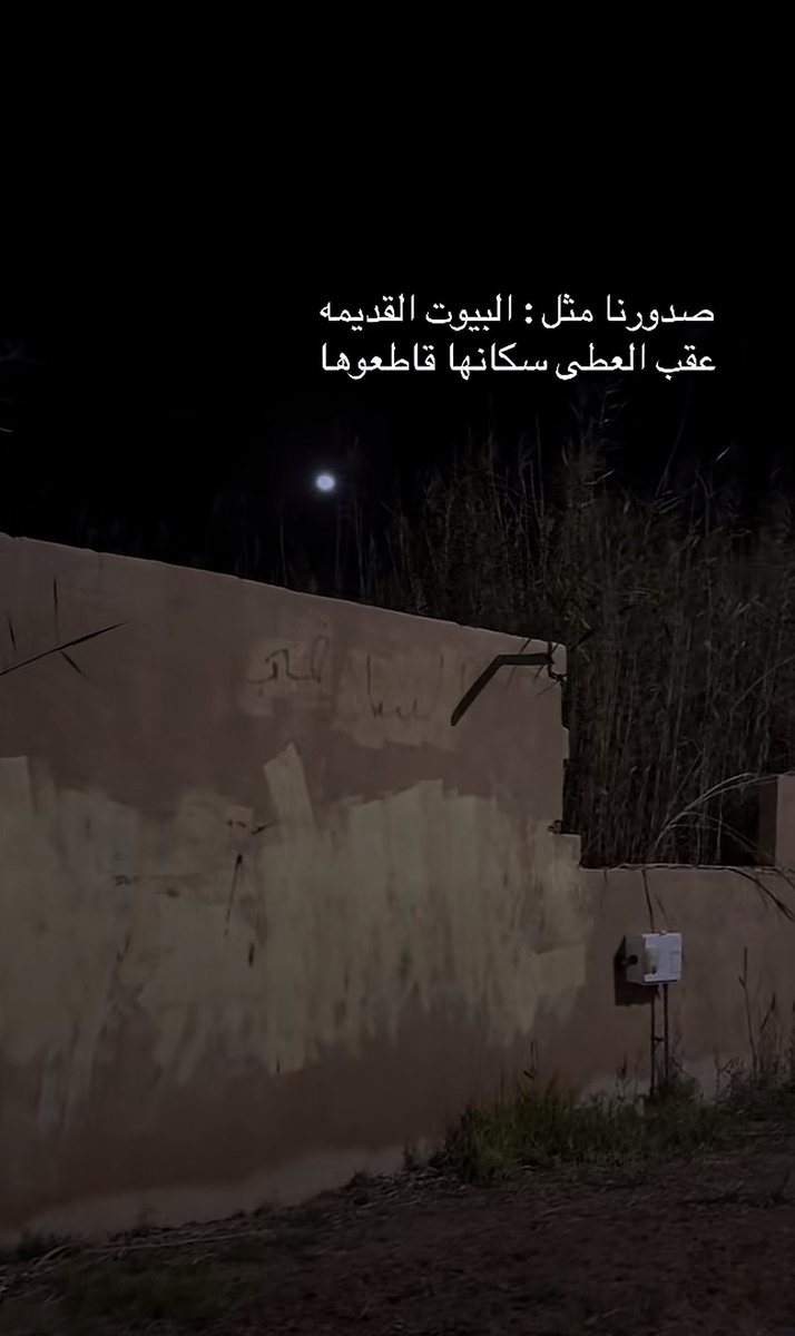 ميم ᥫ᭡🕊️ tweet media