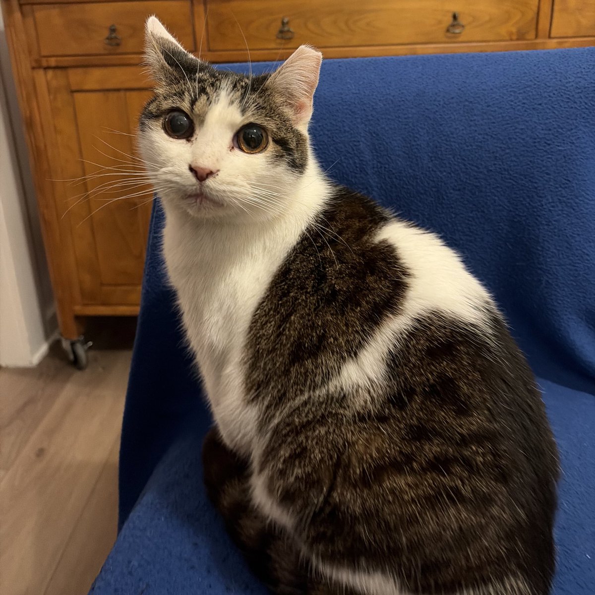 marisa || conrad fisher's left hand pr manager tweet media