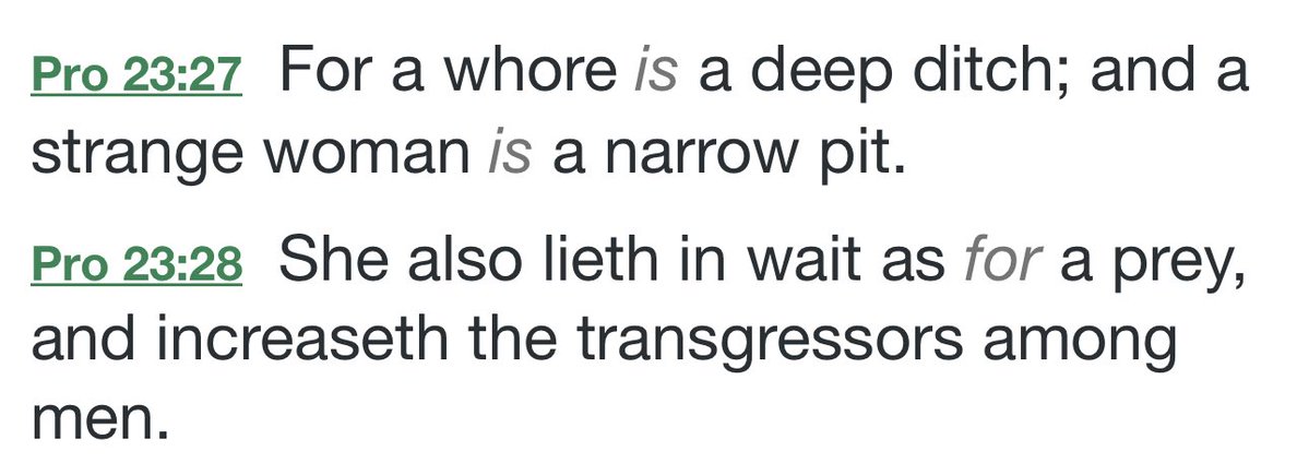 Post Tenebras Lux 🦡™️ - DR SCN Templar tweet media