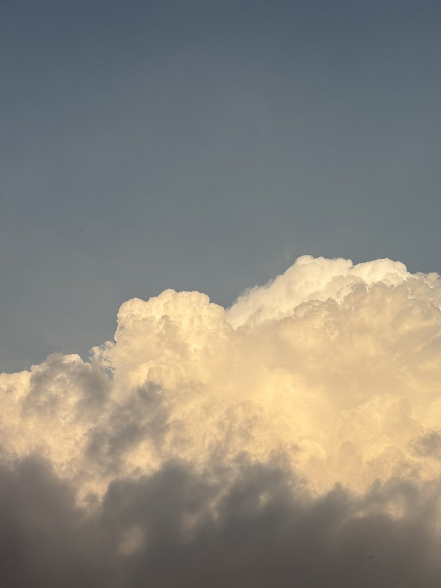 Bubblebeer tweet media