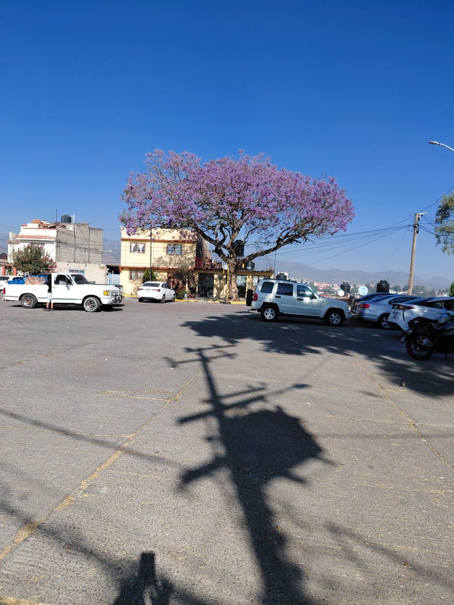 Marcia 💖💞❣️ tweet media