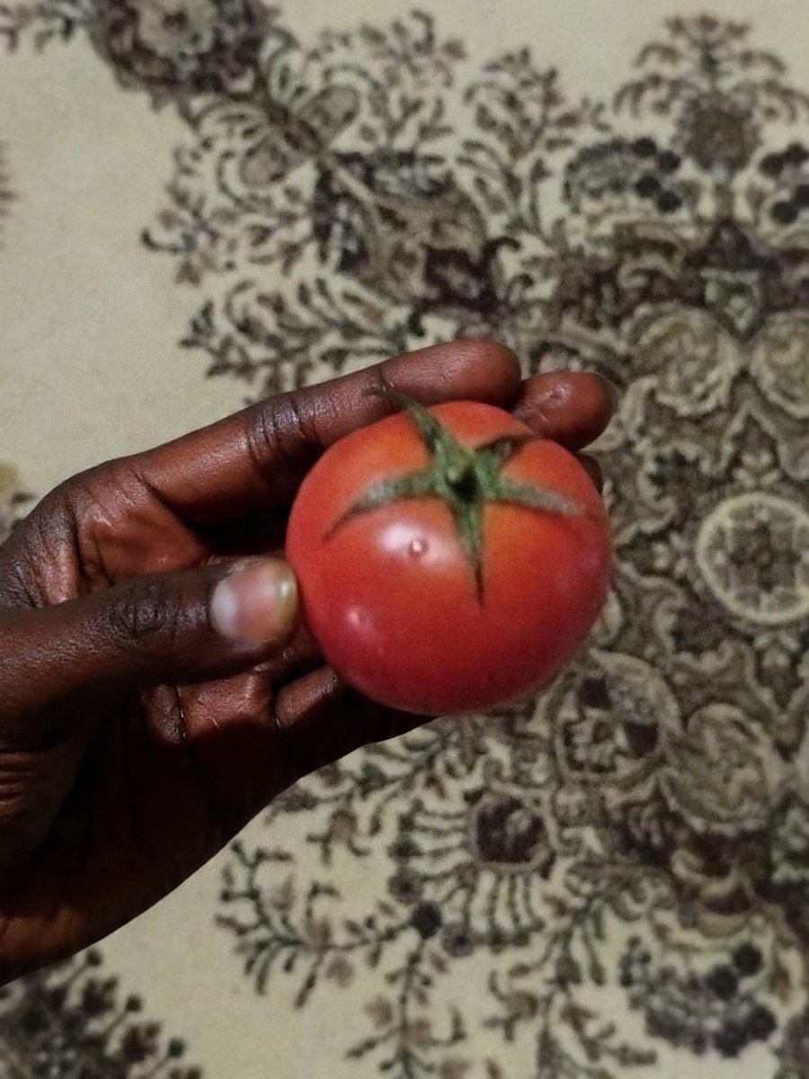 Wiseman😎 tweet media