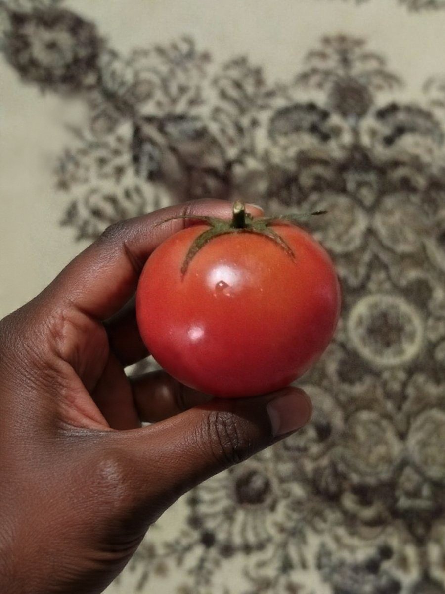 Wiseman😎 tweet media