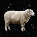 OnChain Trend Signals tweet media