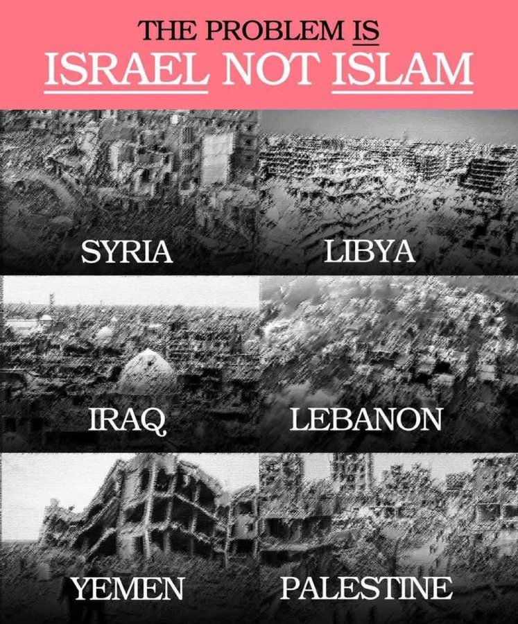 Americans Place tweet media