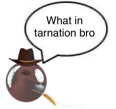 Cat—⚡️5$ COMMS OPEN⚡️ tweet media