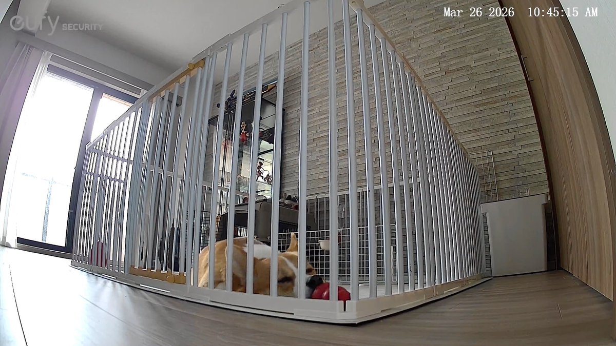 ゆーく tweet media