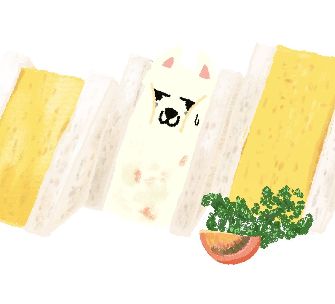 にんじん🥕 tweet media