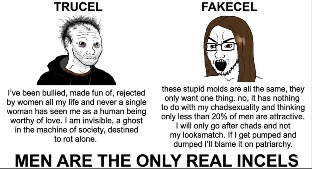 sethliengod tweet media