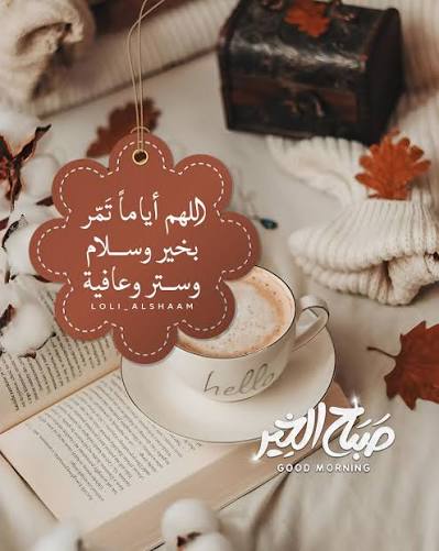 اماراتية وافتخر tweet media