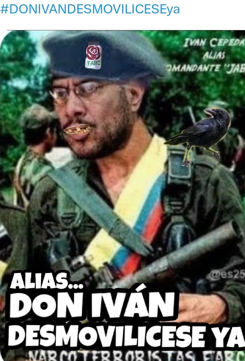 TITIRIBI tweet media