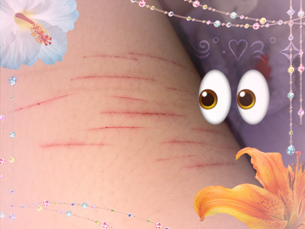 ﹕ 🌷 unicorn of shedtwt .ᐟ ֹ ₊ tweet media