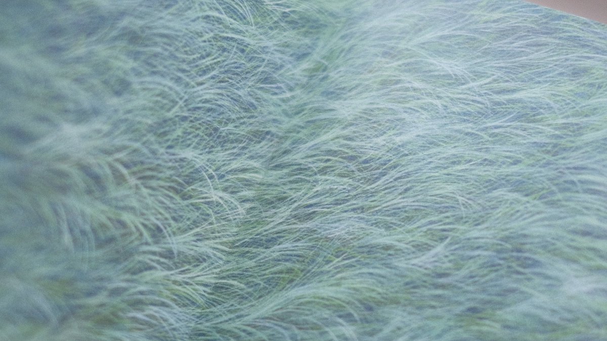 酢橘堂 tweet media